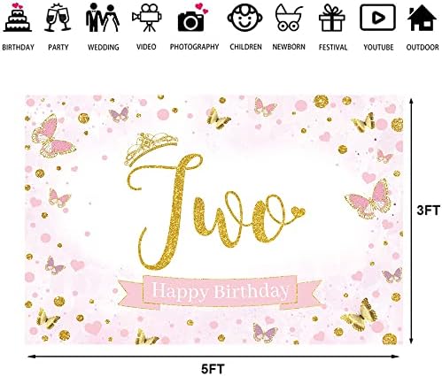 Hilioens 5×3ft Kız 2nd Doğum Günü Zemin Pembe Prenses İkinci Kelebek Doğum Günü Süslemeleri Afiş Altın Noktalar Mutlu Doğum