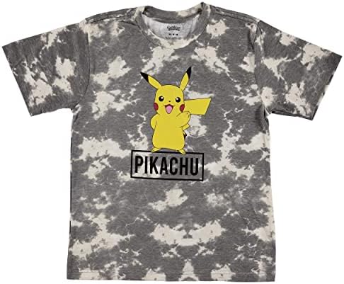 Pokemon Büyük Erkek Charizard kısa kollu tişört-Pokemon Gotta Cath ' EM Tüm Grup T-Shirt