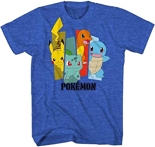 Pokemon Büyük Erkek Charizard kısa kollu tişört-Pokemon Gotta Cath ' EM Tüm Grup T-Shirt