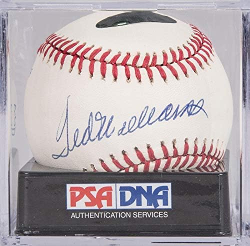 Çarpıcı Ted Williams Tek İmzalı AL Beyzbol PSA DNA Dereceli NANE 9 İmzalı Beyzbol Topları