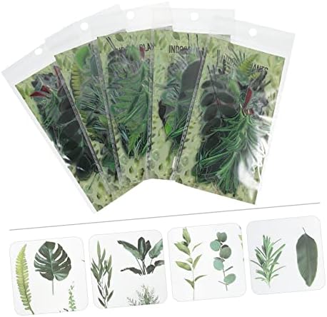 Didiseaon 5 Takım Bitki Hesabı Çıkartmalar Hediye Etiketi Vintage Fotoğraf Albümleri Yeşil Dizüstü Yapışkanlı Hediye Etiketleri