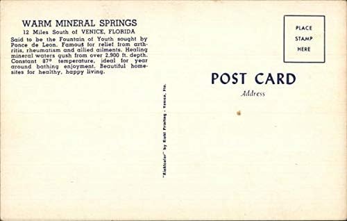 Sıcak Mineral Springs Venedik, Florida FL Orijinal Vintage Kartpostal